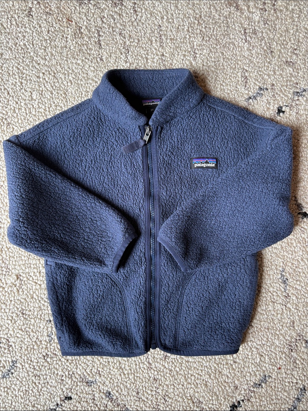 EUC Patagonia Fleece 2T